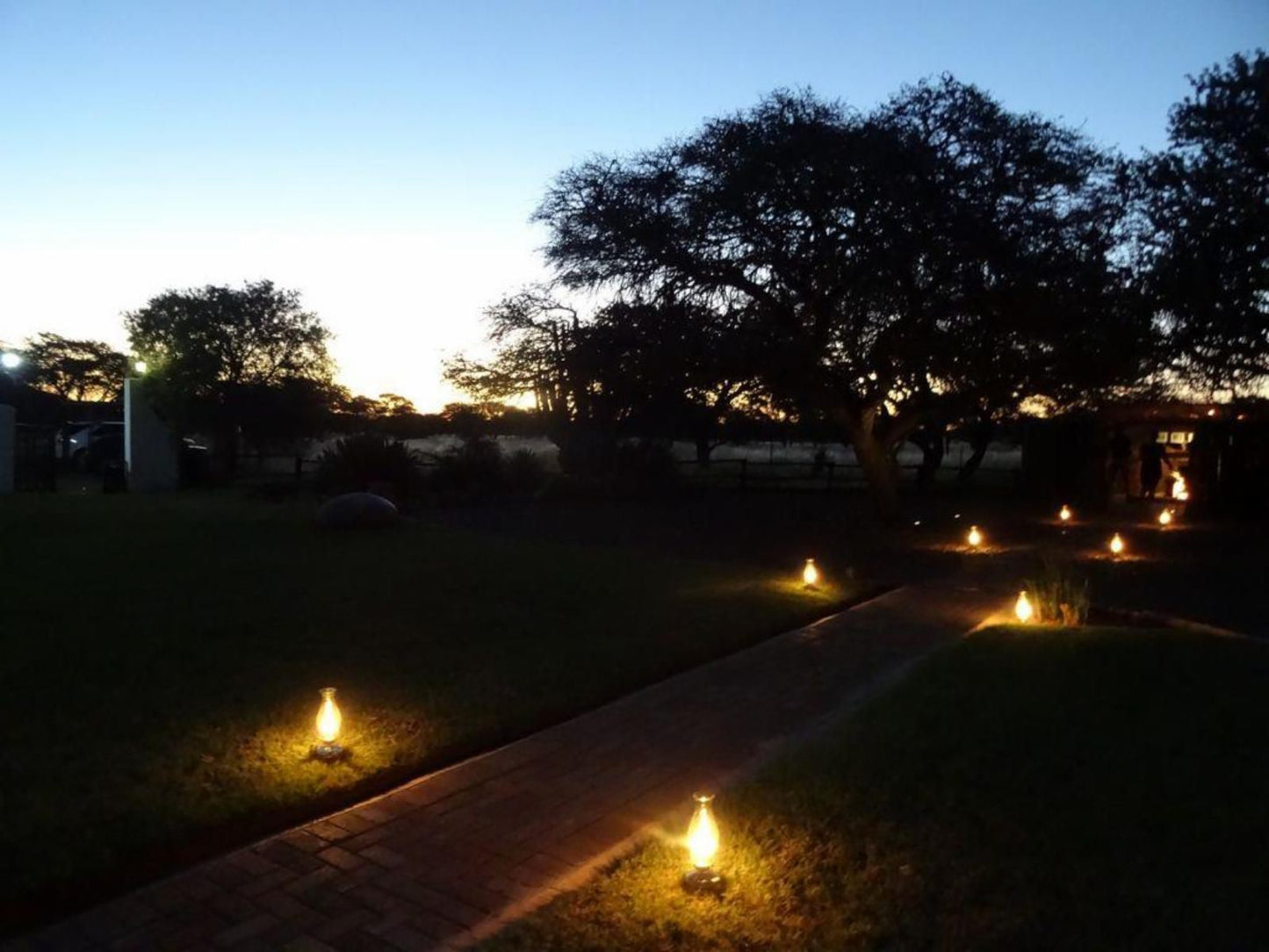 Imbasa Safari Lodge Mokala National Park Northern Cape South Africa Nature