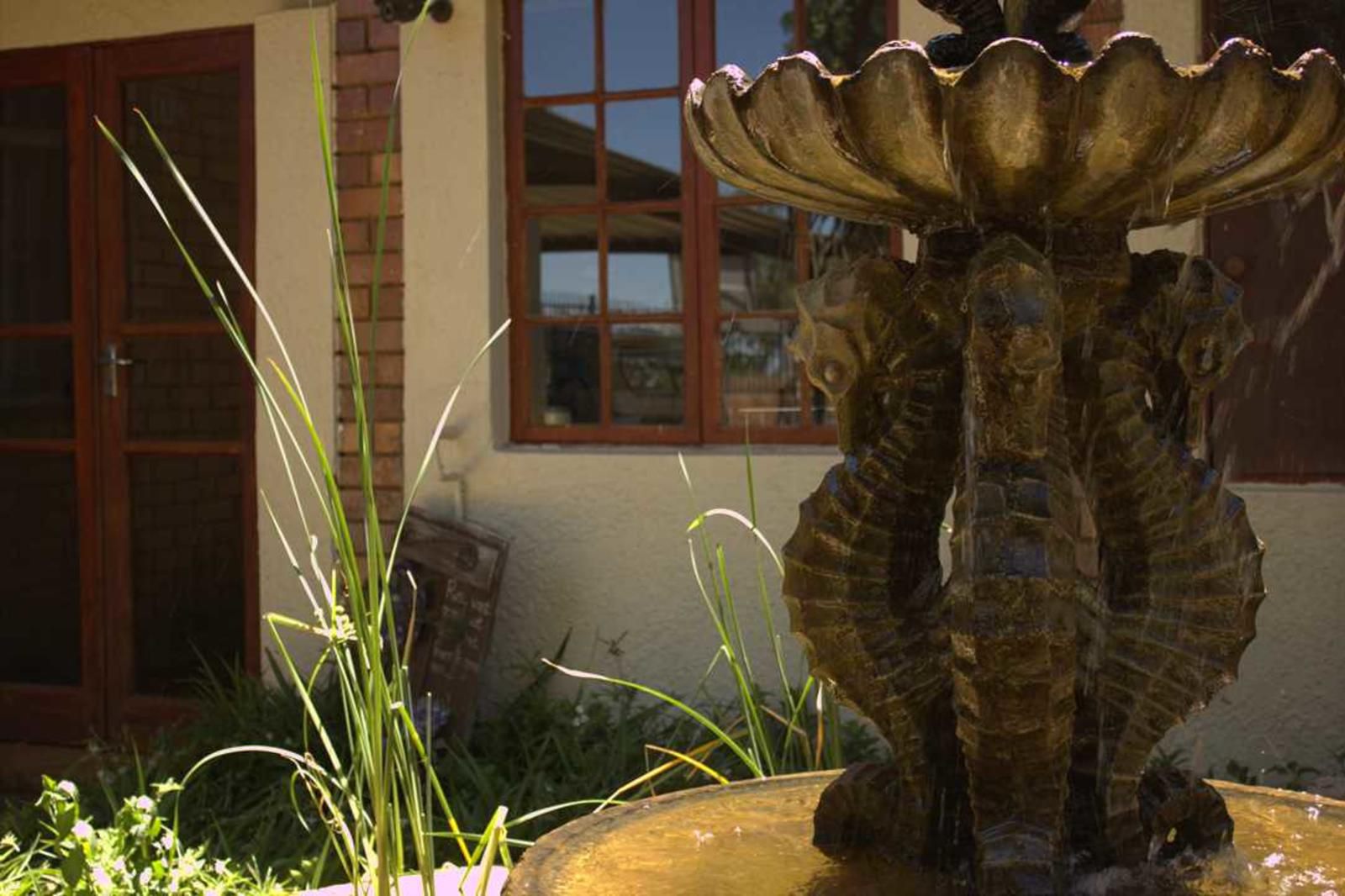 Immanuel Guest House Warrenton Northern Cape South Africa Reptile, Animal