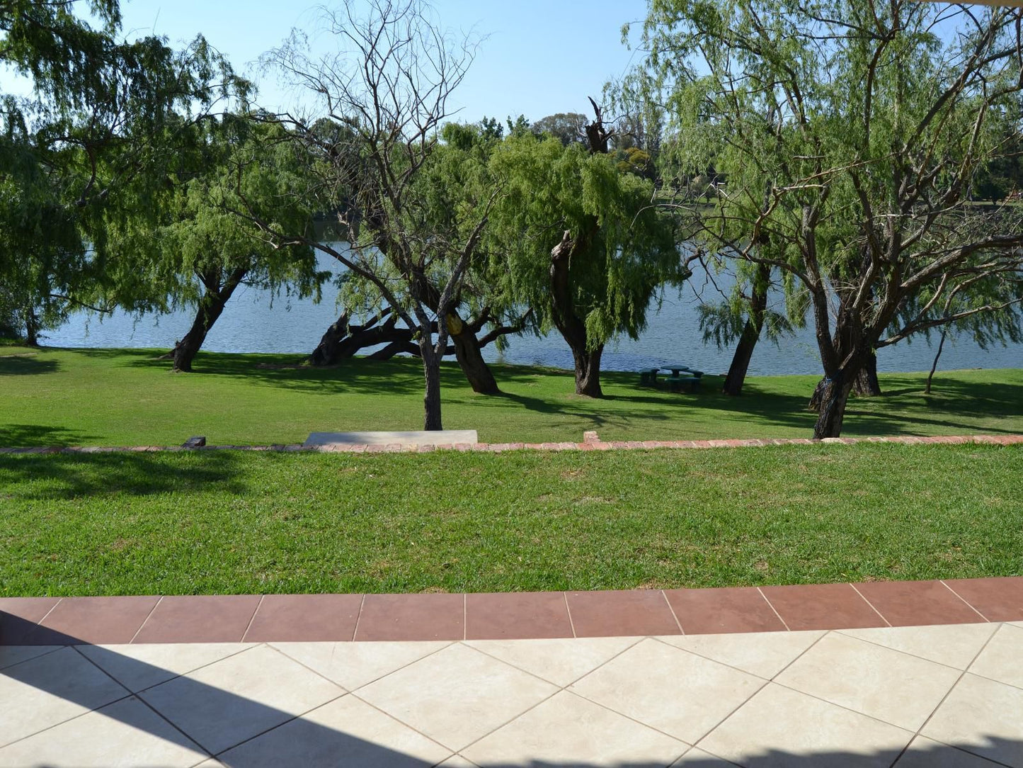 Impact Self Catering Vaal Eden Free State South Africa Palm Tree, Plant, Nature, Wood