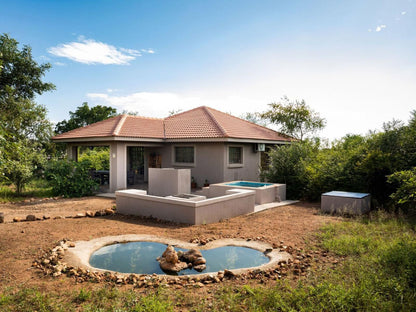 Impala Lily Marloth Park Mpumalanga South Africa Complementary Colors, House, Building, Architecture, Swimming Pool