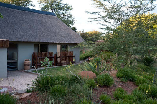 Impisi Lodge Phalaborwa Limpopo Province South Africa House, Building, Architecture, Plant, Nature, Garden