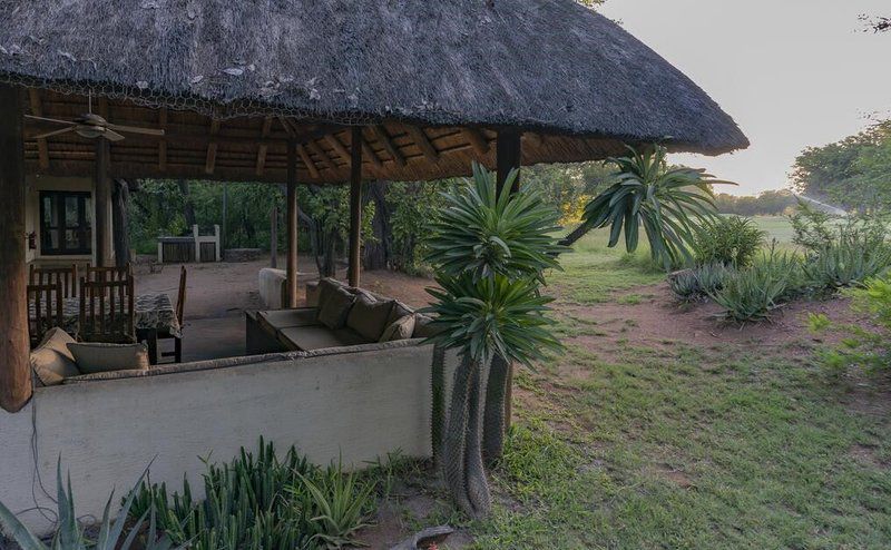 Impisi House Phalaborwa Limpopo Province South Africa Palm Tree, Plant, Nature, Wood