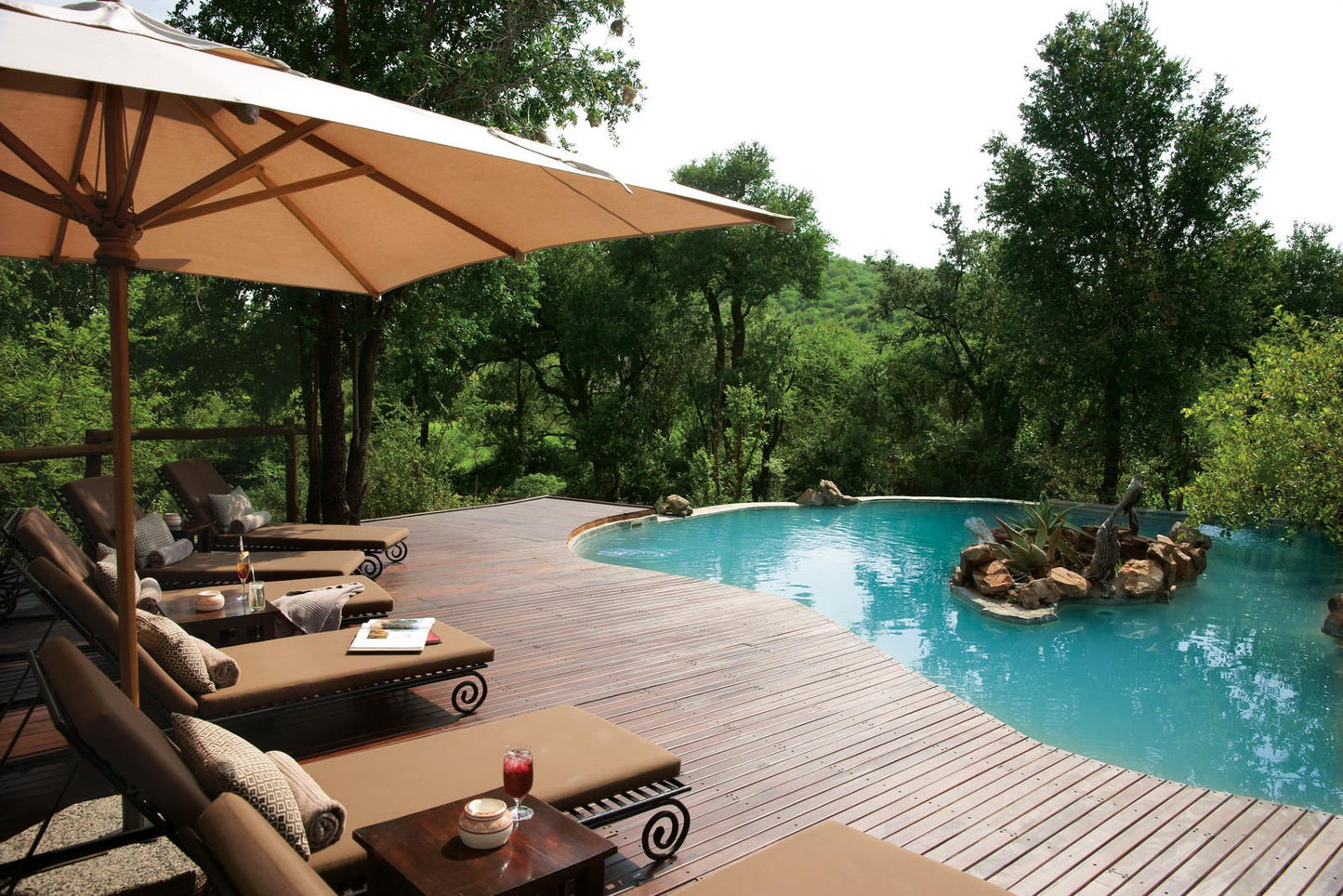 Impodimo Game Lodge Madikwe Game Reserve North West Province South Africa Swimming Pool