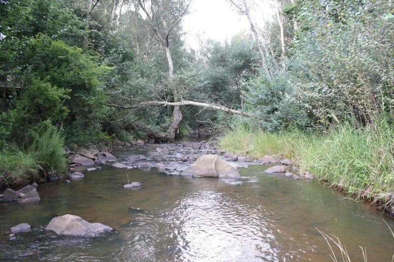 Imvula Game Lodge Carolina Mpumalanga South Africa Unsaturated, Forest, Nature, Plant, Tree, Wood, River, Waters