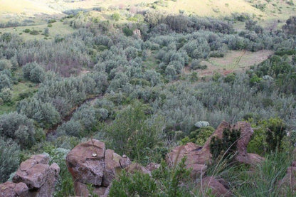 Imvula Game Lodge Carolina Mpumalanga South Africa Unsaturated, Canyon, Nature