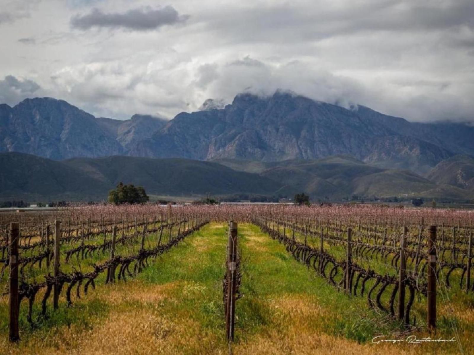 In De Vines Farmstay, Mountain, Nature, Wine, Drink