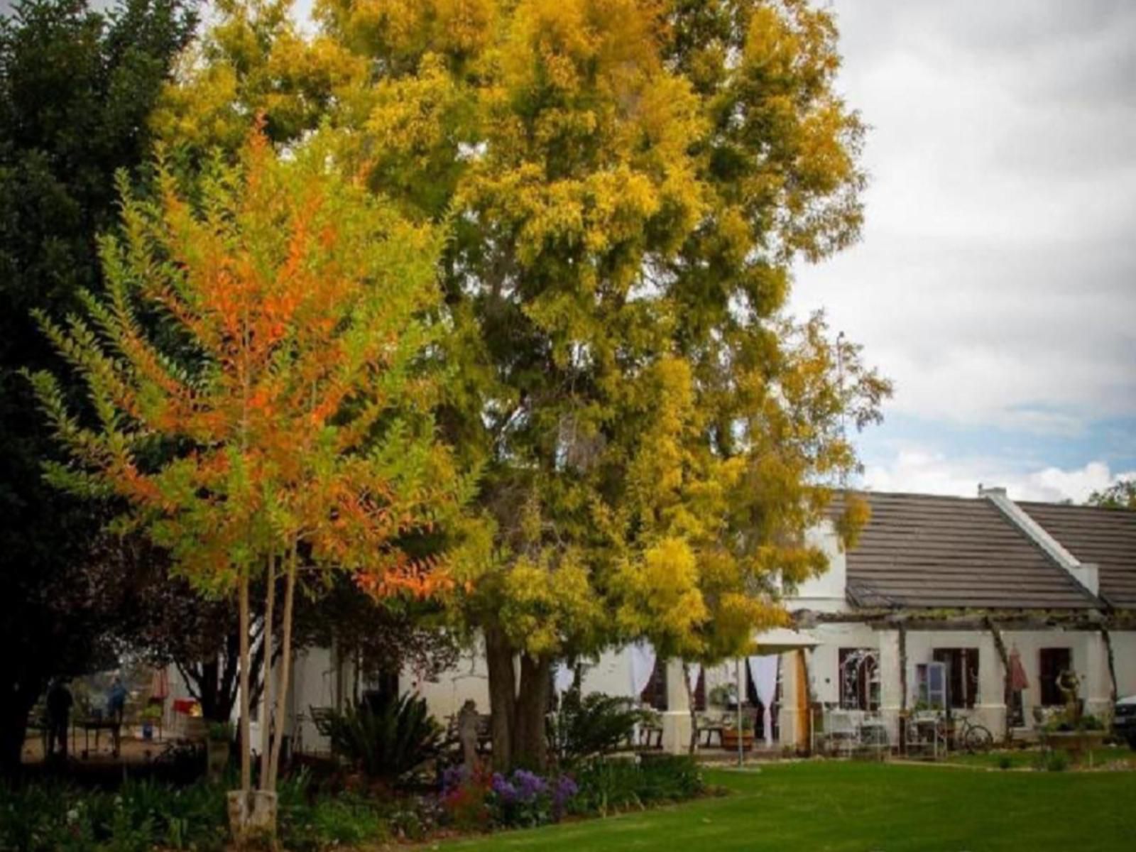 In De Vines Farmstay, House, Building, Architecture, Plant, Nature, Tree, Wood, Autumn