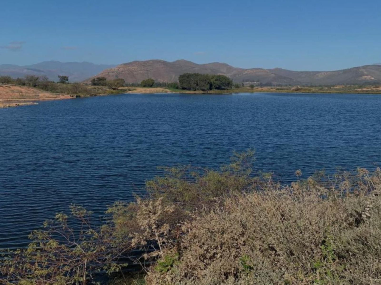 In De Vines Farmstay, Cactus, Plant, Nature, Lake, Waters, River