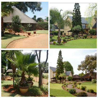 In2 Accommodation Guesthouse Kempton Park Johannesburg Gauteng South Africa House, Building, Architecture, Palm Tree, Plant, Nature, Wood, Garden