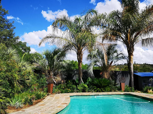 Inbloem Dan Pienaar Bloemfontein Free State South Africa Complementary Colors, Palm Tree, Plant, Nature, Wood, Garden, Swimming Pool