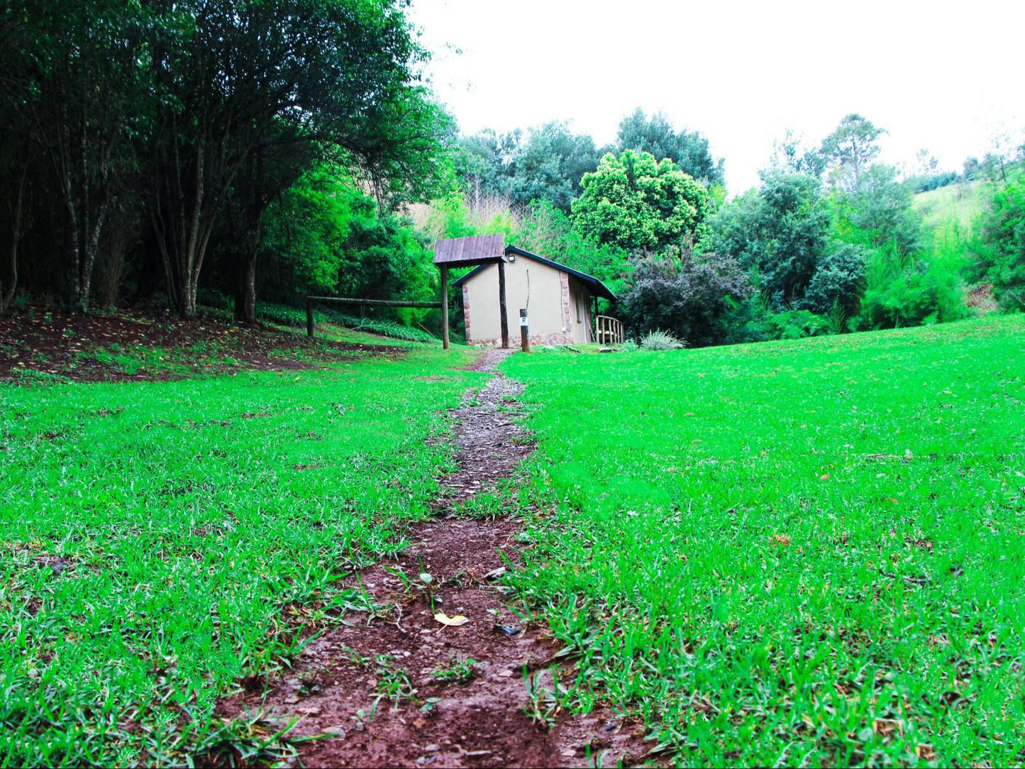 Incwala Lodge Waterval Boven Mpumalanga South Africa Field, Nature, Agriculture