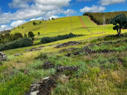 Incwala Lodge Waterval Boven Mpumalanga South Africa Field, Nature, Agriculture, Meadow, Highland