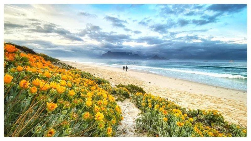 Infinity Self Catering Beachfront Apartment 302 Bloubergstrand Blouberg Western Cape South Africa Complementary Colors, Beach, Nature, Sand, Ocean, Waters