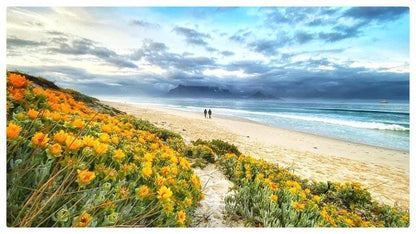Infinity Self Catering Beachfront Apartment 302 Bloubergstrand Blouberg Western Cape South Africa Complementary Colors, Beach, Nature, Sand, Ocean, Waters
