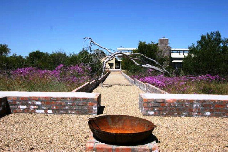 Inglenook Yzerfontein Western Cape South Africa Complementary Colors, Garden, Nature, Plant