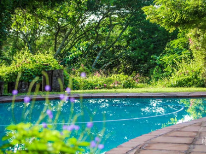 Ingwenya Lodge St Lucia Kwazulu Natal South Africa Complementary Colors, Garden, Nature, Plant, Swimming Pool