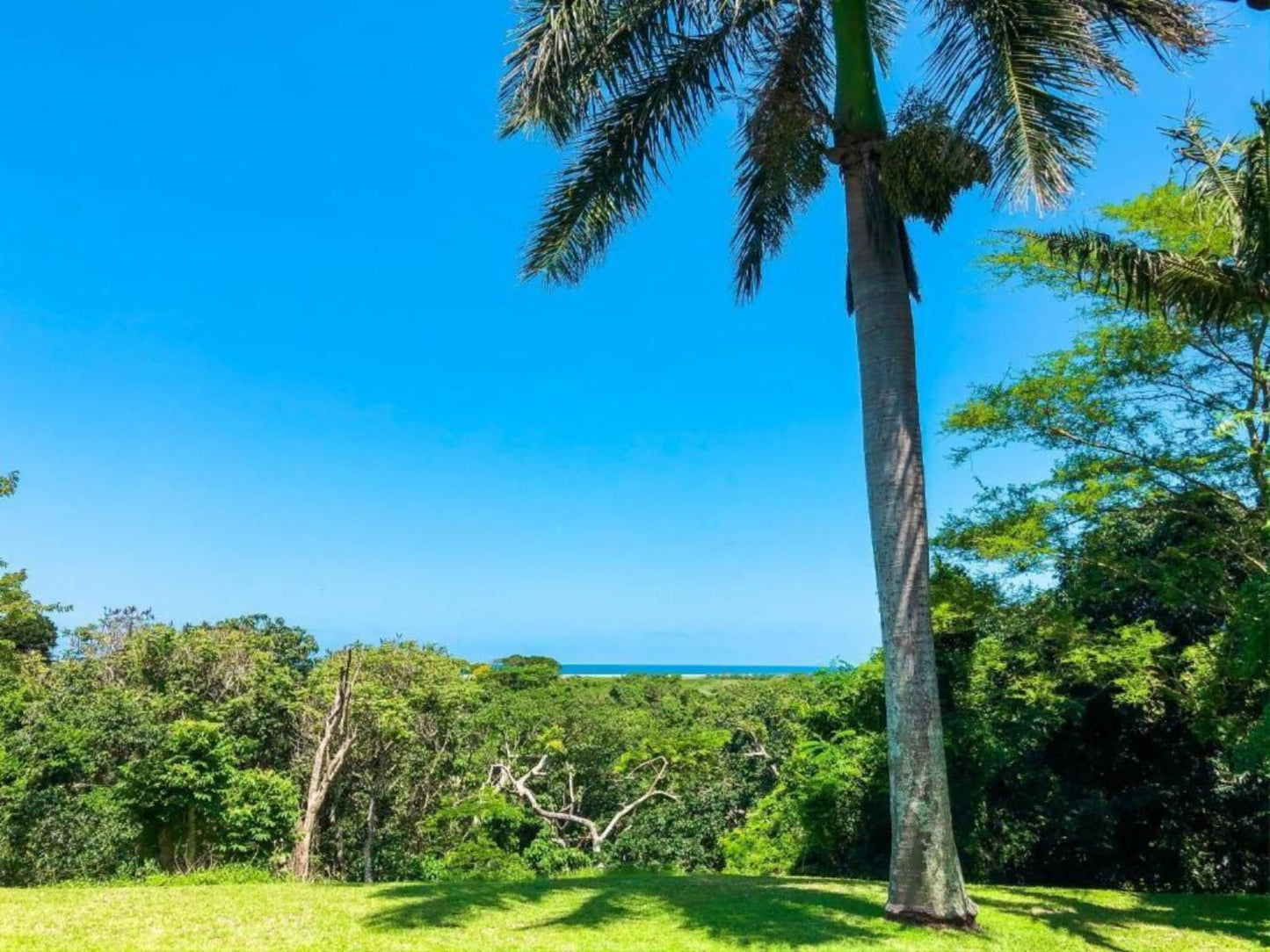 Ingwenya Lodge St Lucia Kwazulu Natal South Africa Complementary Colors, Colorful, Beach, Nature, Sand, Palm Tree, Plant, Wood