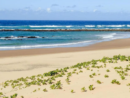 Ingwenya Lodge St Lucia Kwazulu Natal South Africa Complementary Colors, Colorful, Beach, Nature, Sand