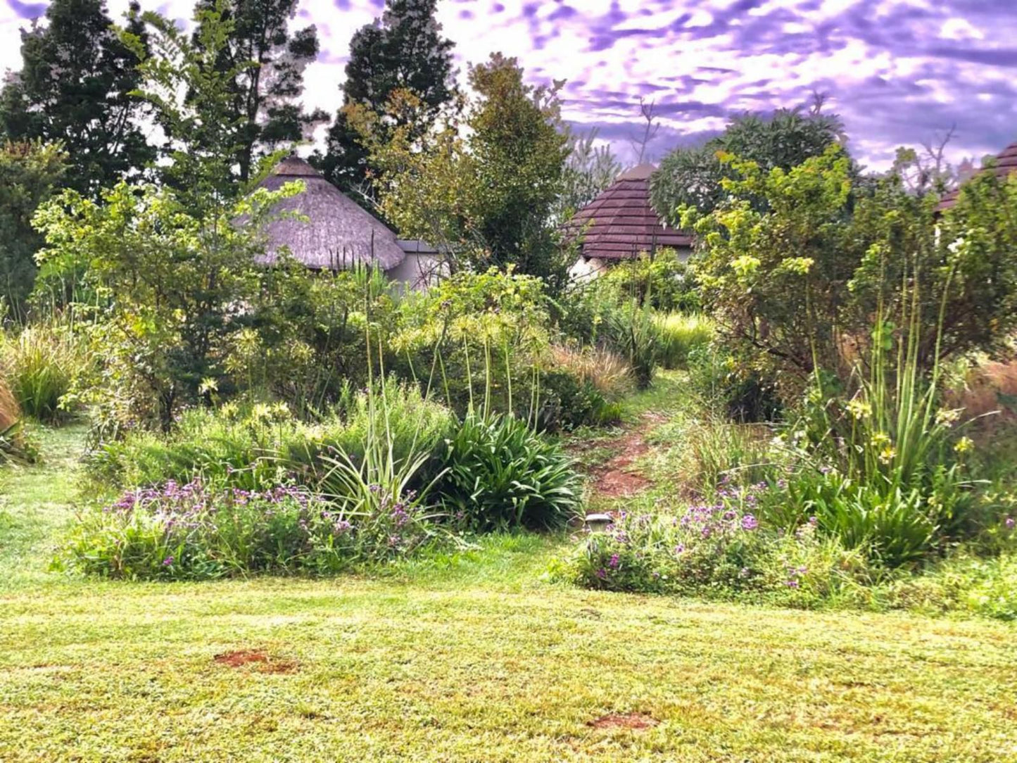 Inkosana Berg Lodge, Plant, Nature, Garden