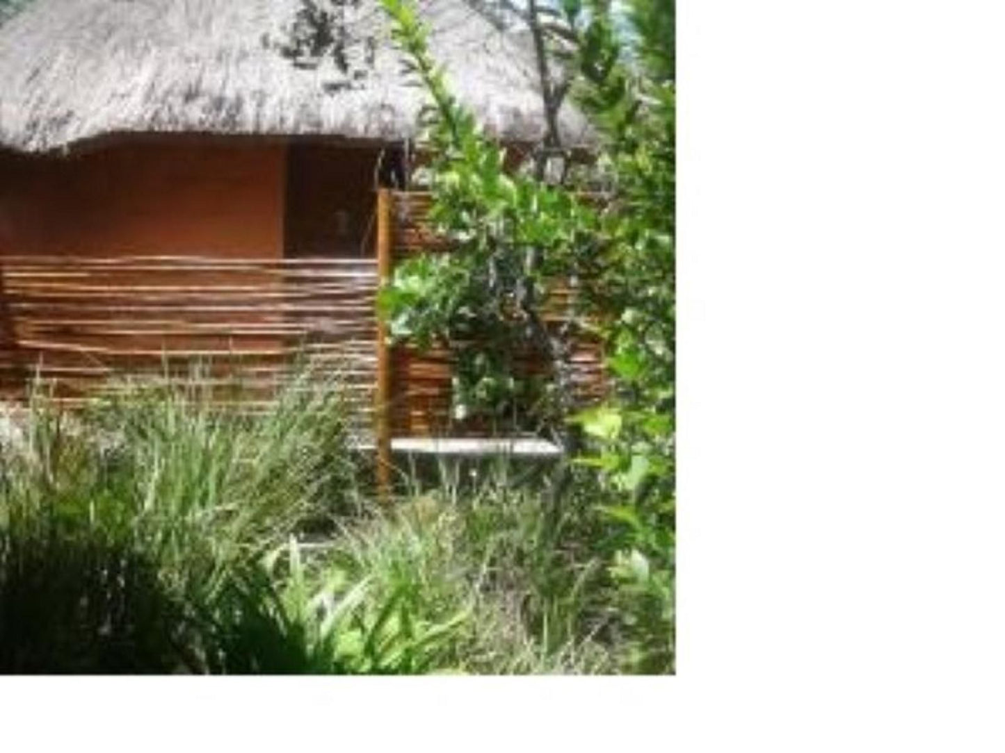 Inkosana Berg Lodge, Rondavel 02 private Shared Eco Dorm