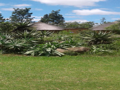 Inkosana Lodge Central Drakensberg Kwazulu Natal South Africa Complementary Colors, Palm Tree, Plant, Nature, Wood