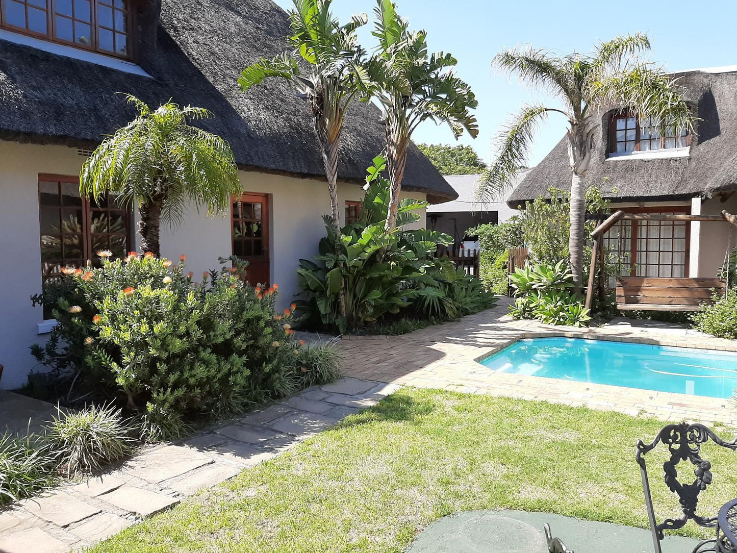 Inkosi Eco Lodge De Tijger Cape Town Western Cape South Africa House, Building, Architecture, Palm Tree, Plant, Nature, Wood, Swimming Pool