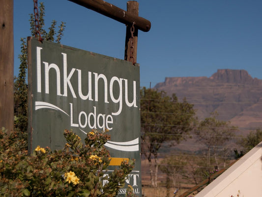 Inkungu Lodge Bergview Kwazulu Natal South Africa Cactus, Plant, Nature, Sign, Text