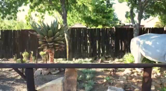 Inkwe Lodge Bethlehem Free State South Africa Gate, Architecture, Palm Tree, Plant, Nature, Wood, Ruin