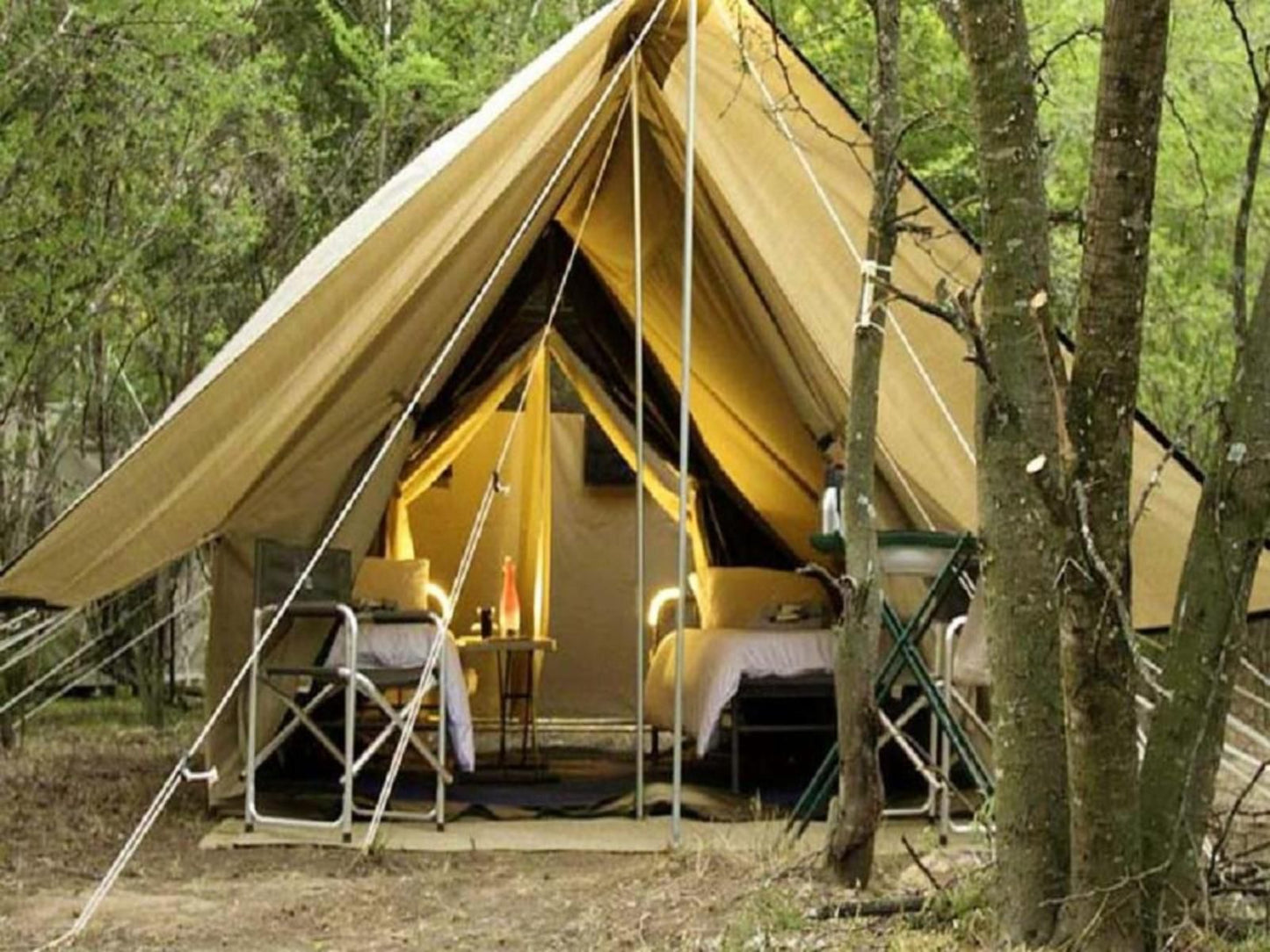 Inn Africa Safaris Manyeleti Reserve Mpumalanga South Africa Sepia Tones, Forest, Nature, Plant, Tree, Wood, Tent, Architecture