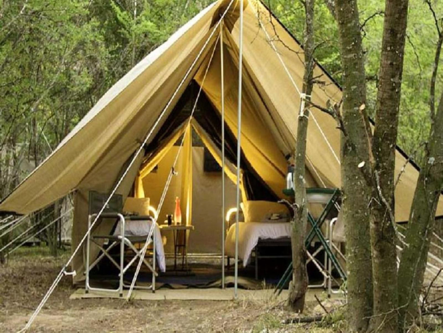 Inn Africa Safaris Manyeleti Reserve Mpumalanga South Africa Sepia Tones, Forest, Nature, Plant, Tree, Wood, Tent, Architecture