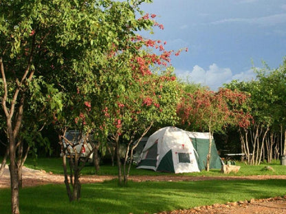 Inn Africa Safaris Manyeleti Reserve Mpumalanga South Africa Tent, Architecture