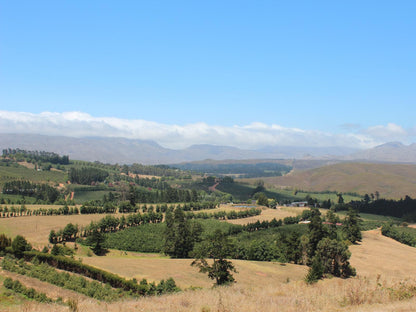 Inn On Highlands Elgin Western Cape South Africa Complementary Colors, Mountain, Nature, Highland