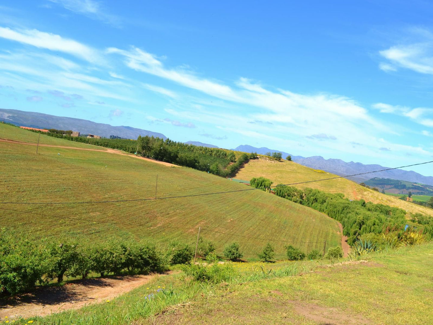 Inn On Highlands Elgin Western Cape South Africa Complementary Colors, Colorful, Field, Nature, Agriculture, Highland