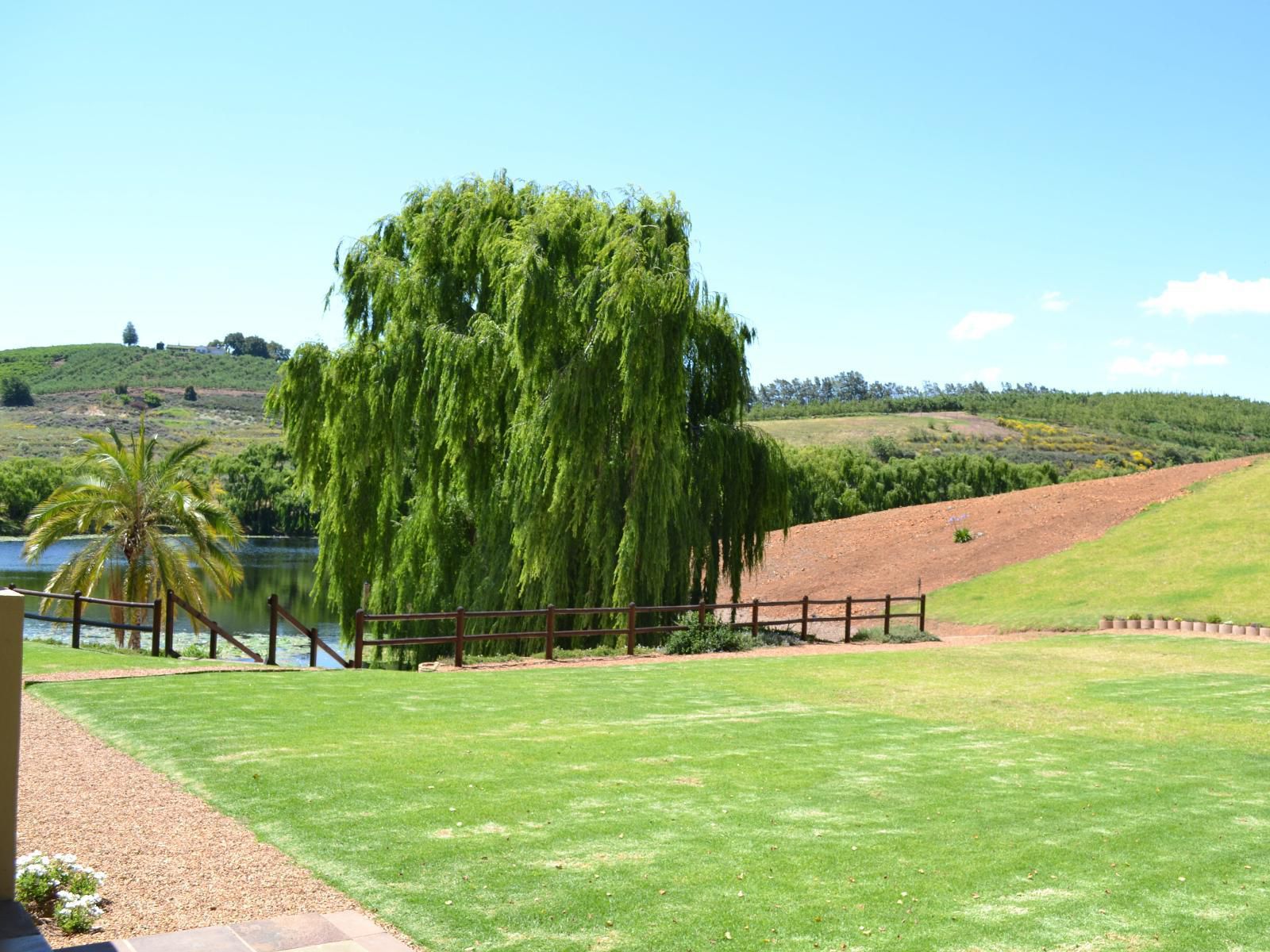 Inn On Highlands Elgin Western Cape South Africa Complementary Colors, Colorful, Tree, Plant, Nature, Wood