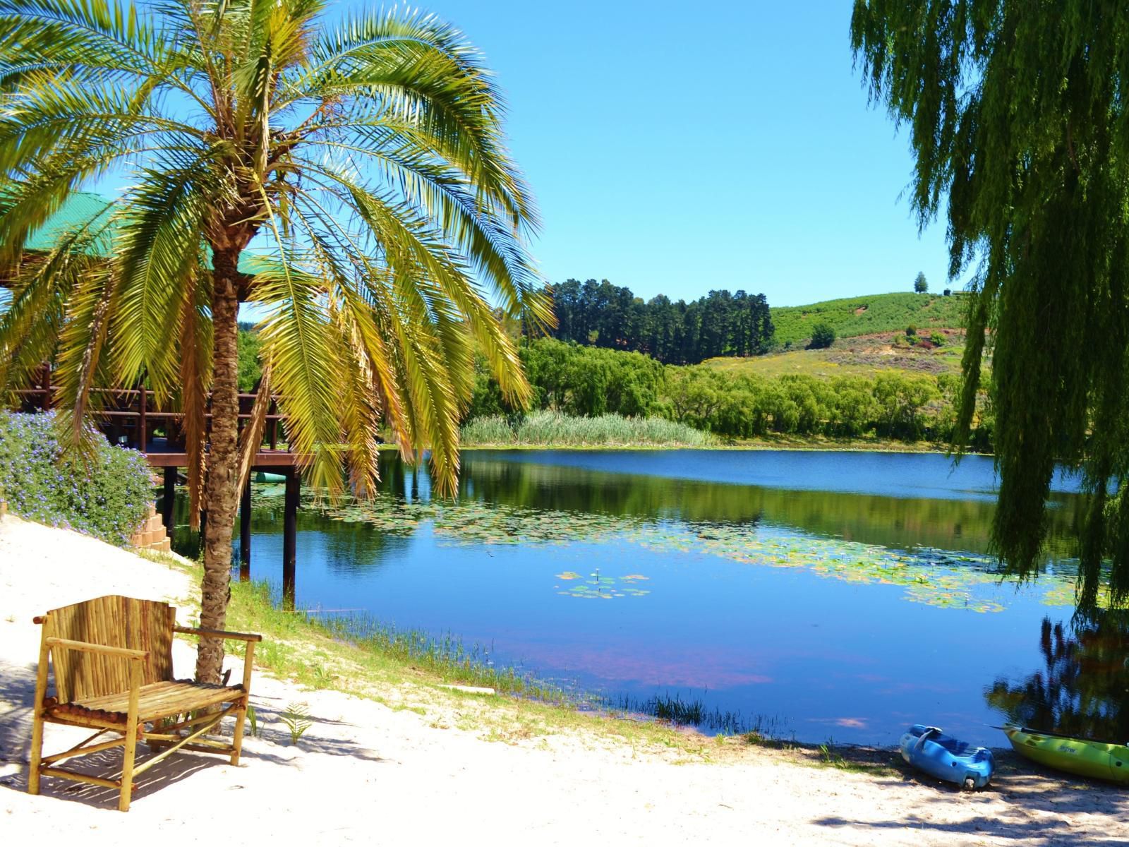 Inn On Highlands Elgin Western Cape South Africa Complementary Colors, Palm Tree, Plant, Nature, Wood