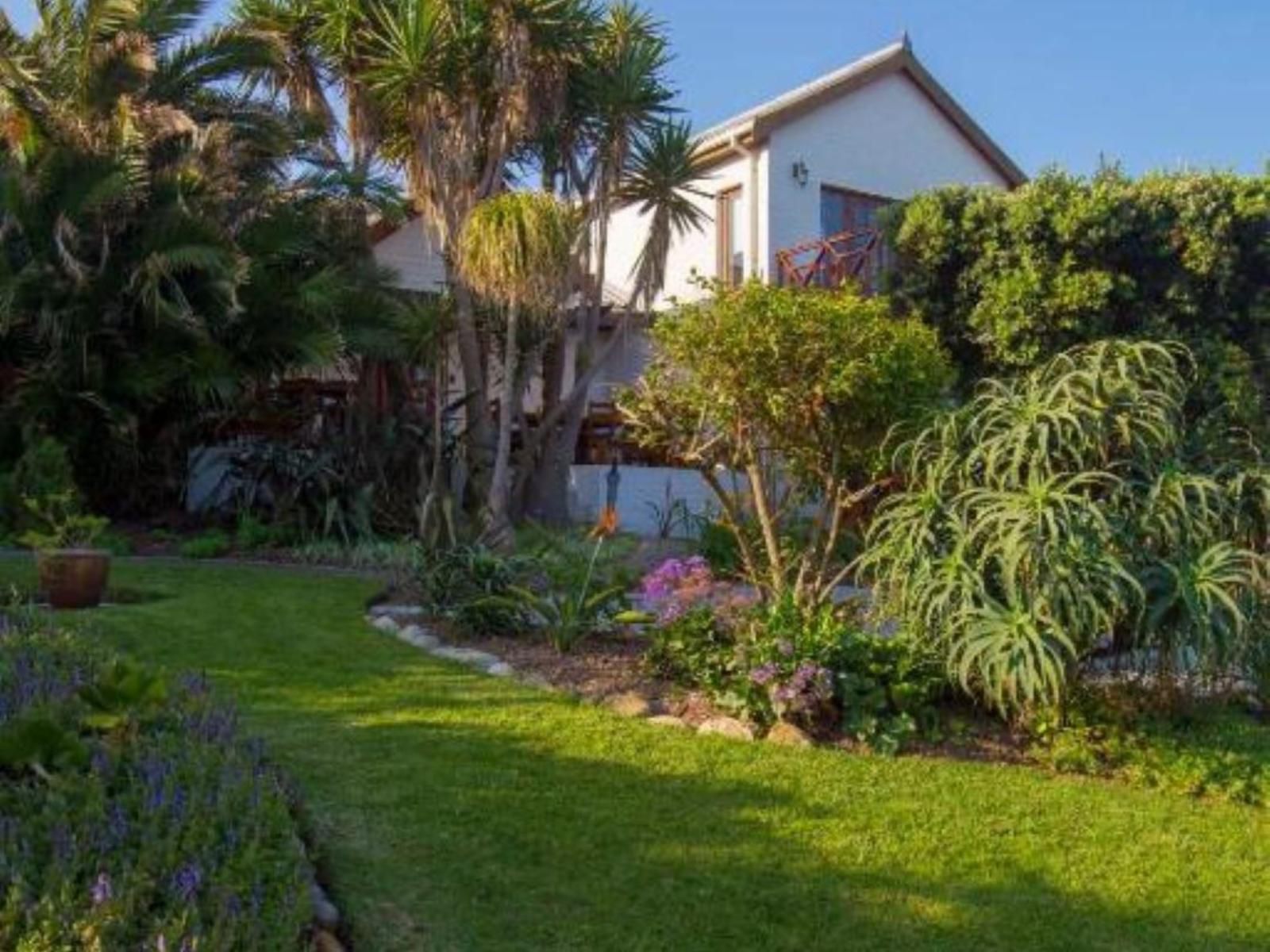 Inn2Wilderness Wilderness Western Cape South Africa House, Building, Architecture, Palm Tree, Plant, Nature, Wood, Garden