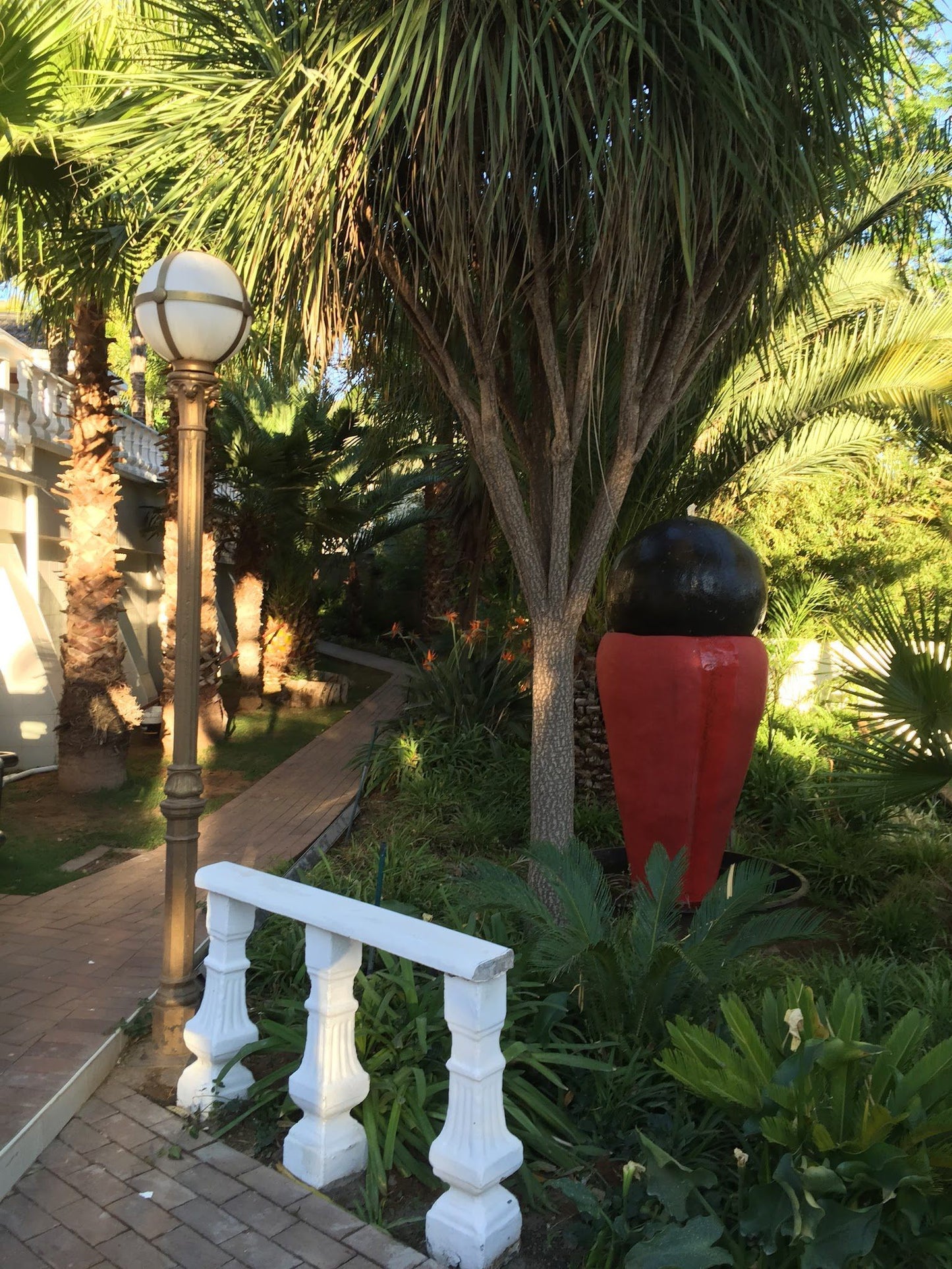 Innes View Guest House Bayswater Bloemfontein Free State South Africa Palm Tree, Plant, Nature, Wood
