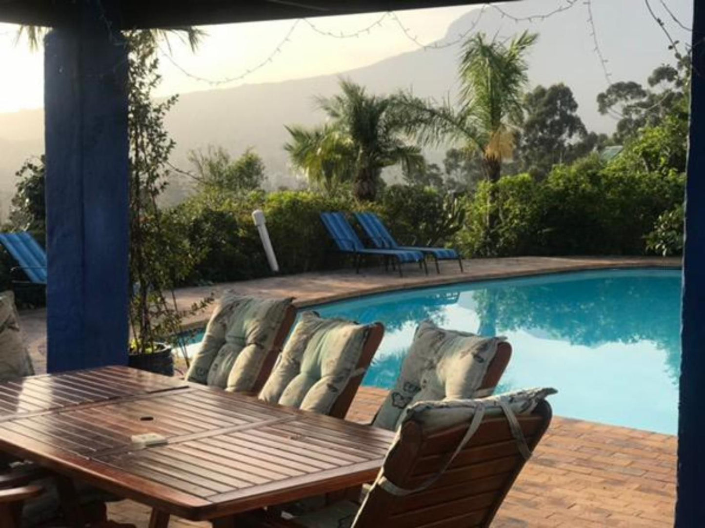 Innisfree Manor Rome Glen Somerset West Western Cape South Africa Palm Tree, Plant, Nature, Wood, Swimming Pool