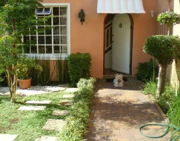 Inside Story Parkhurst Johannesburg Gauteng South Africa Dog, Mammal, Animal, Pet, House, Building, Architecture, Plant, Nature, Garden