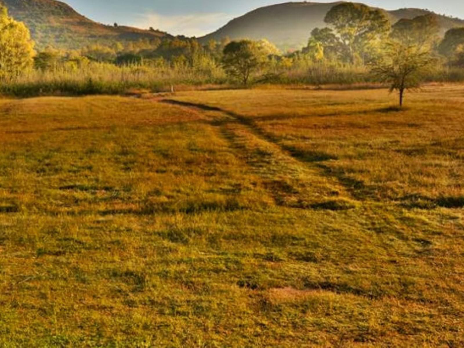 Intaba Thulile Magaliesburg Gauteng South Africa Sepia Tones, Field, Nature, Agriculture, Meadow