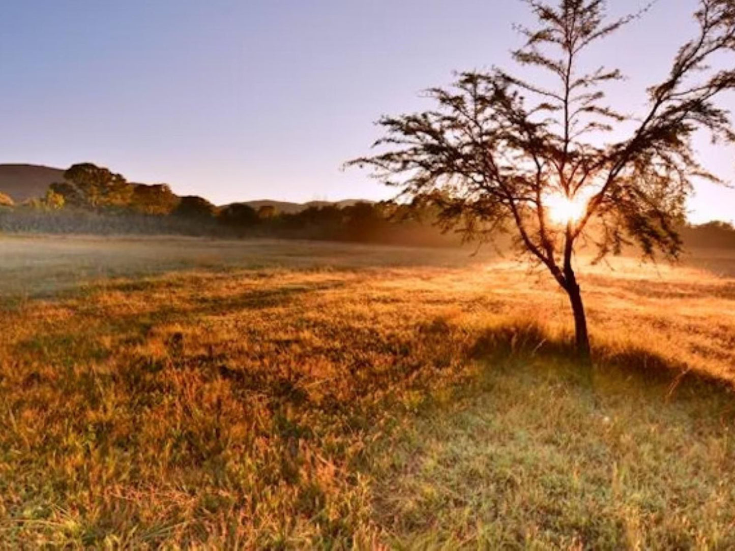 Intaba Thulile Magaliesburg Gauteng South Africa Complementary Colors, Colorful, Lowland, Nature