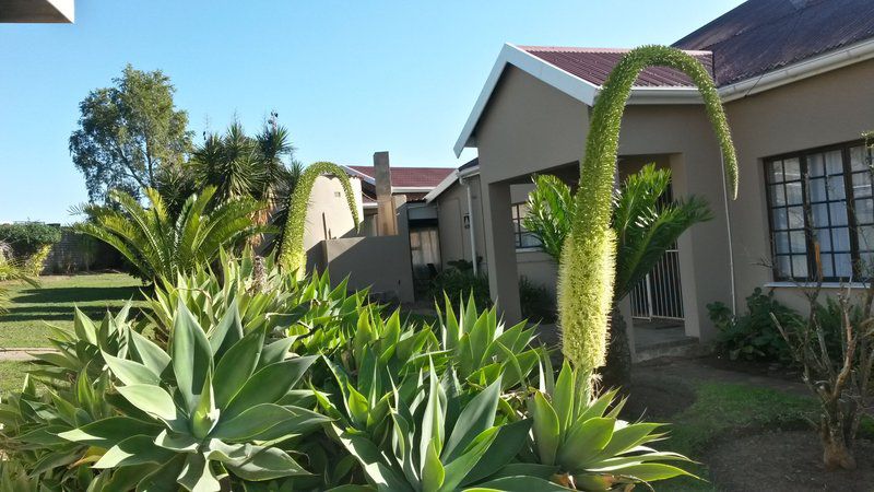 Intaka Guest House King Williams Town Eastern Cape South Africa Complementary Colors, House, Building, Architecture, Palm Tree, Plant, Nature, Wood, Garden