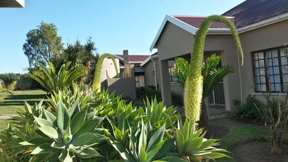 Intaka Guest House King Williams Town Eastern Cape South Africa Complementary Colors, House, Building, Architecture, Palm Tree, Plant, Nature, Wood, Garden