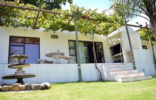 In The Vineyard Klapmuts Western Cape South Africa House, Building, Architecture, Palm Tree, Plant, Nature, Wood, Reptile, Animal