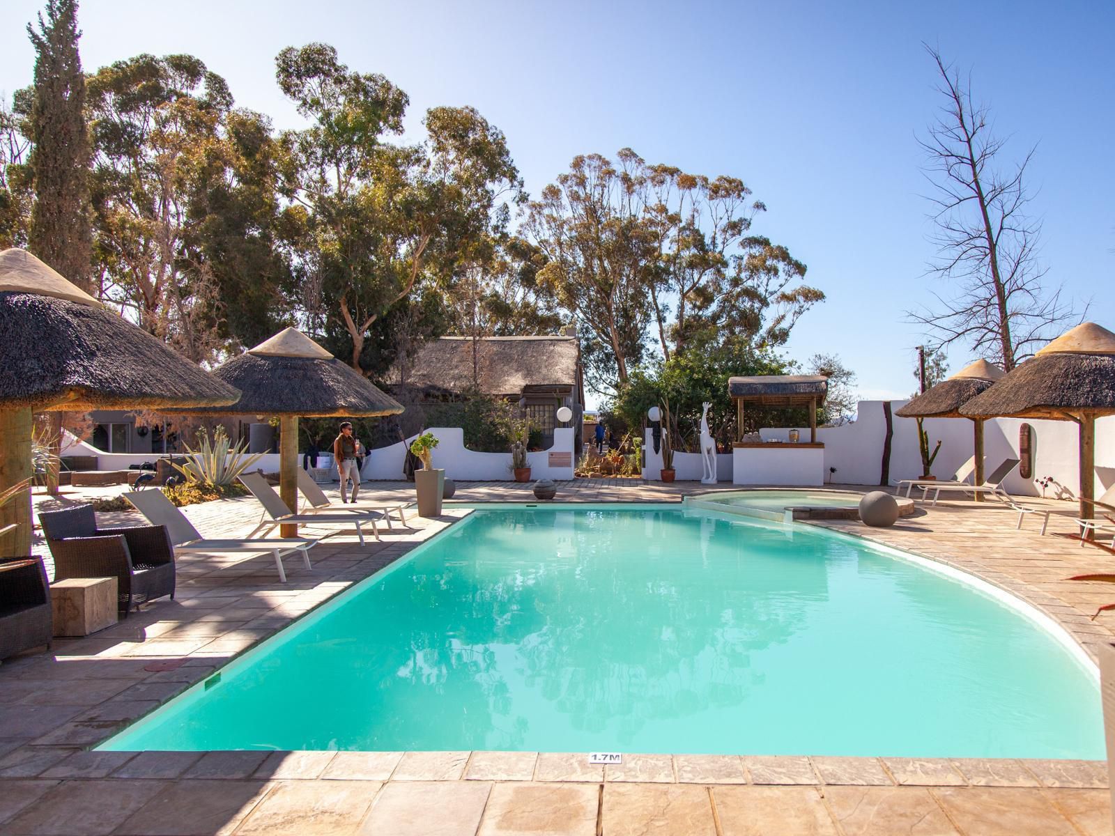 Inverdoorn Game Reserve Ceres Western Cape South Africa Swimming Pool