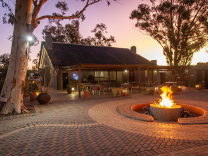 Inverdoorn Game Reserve Ceres Western Cape South Africa Fire, Nature