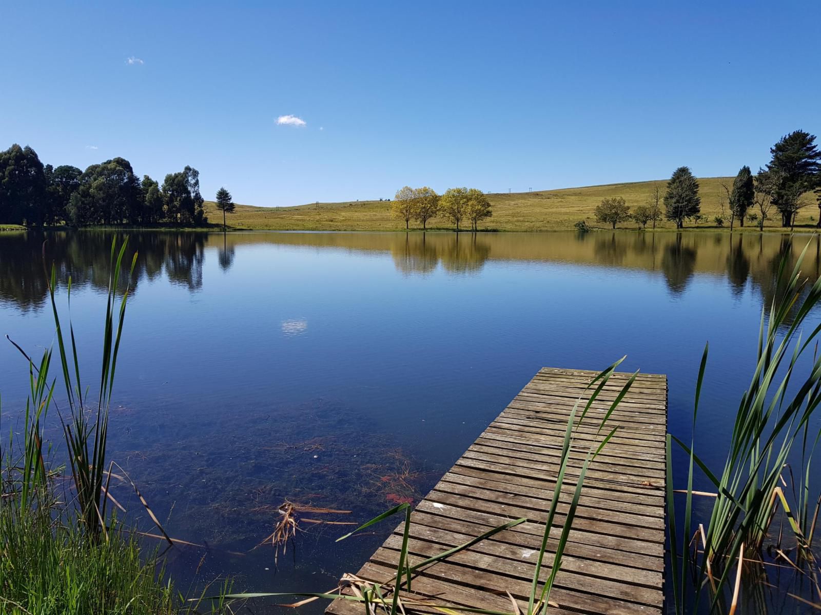 Invermooi Estate Nottingham Road Kwazulu Natal South Africa Lake, Nature, Waters, River