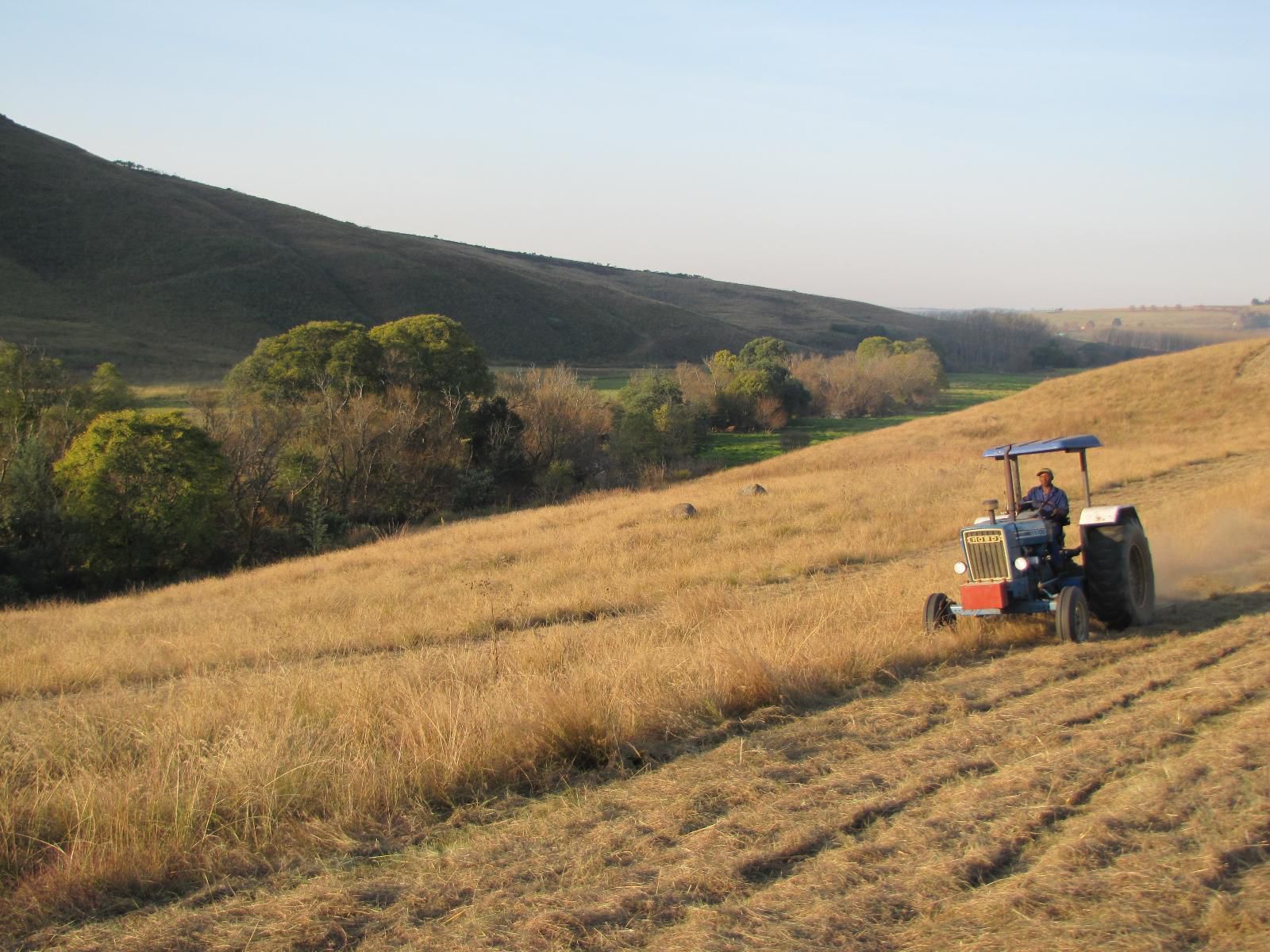 Inversanda Cottages Dargle Howick Kwazulu Natal South Africa Field, Nature, Agriculture, Tractor, Vehicle, Lowland