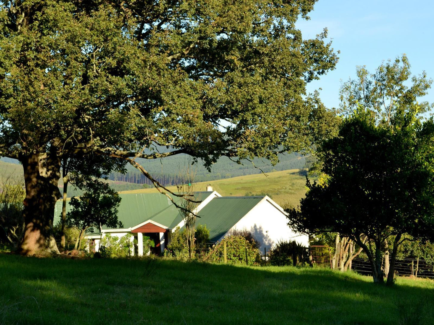 Inversanda Cottages Dargle Howick Kwazulu Natal South Africa Tree, Plant, Nature, Wood