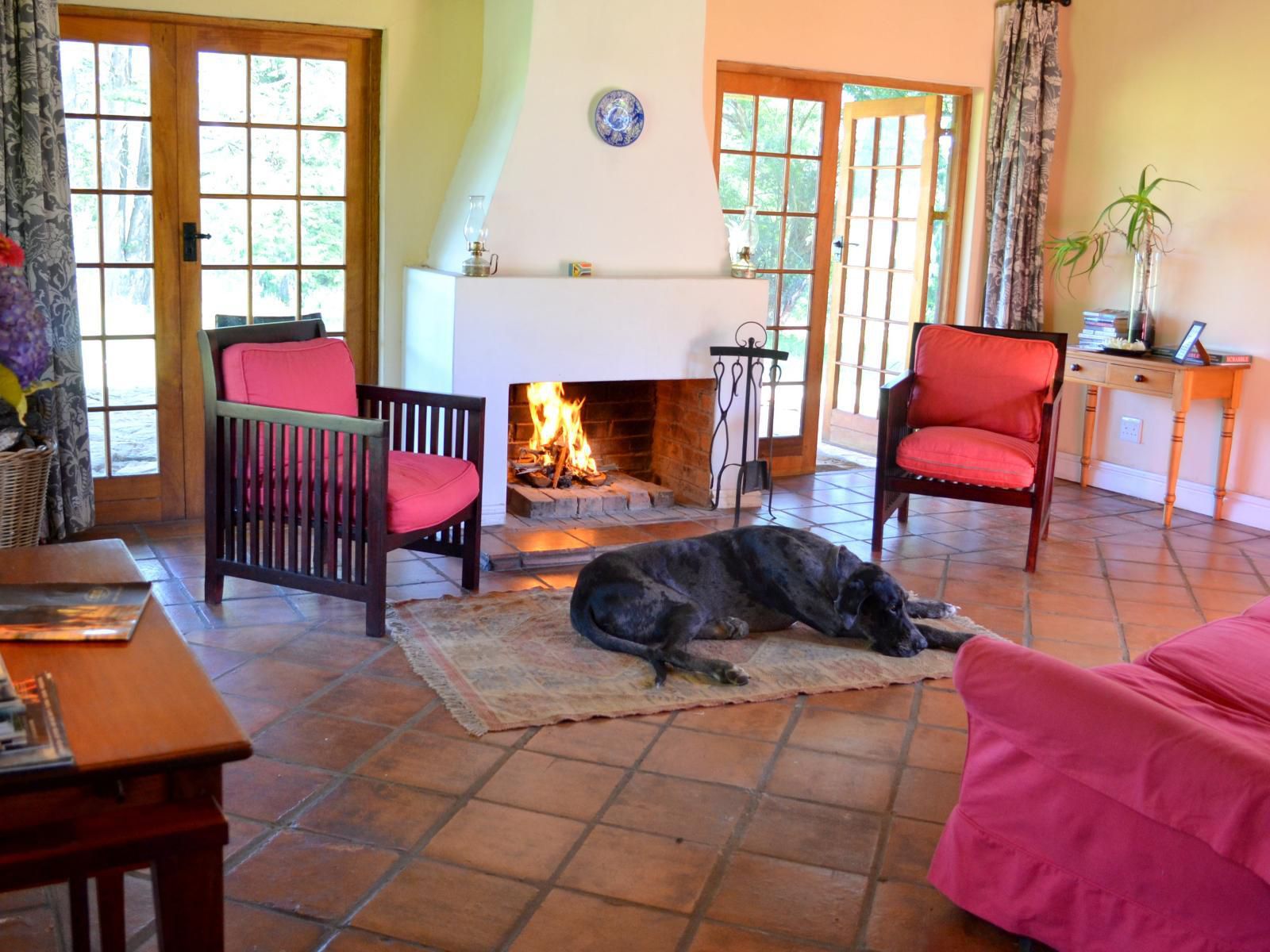Inversanda Cottages Dargle Howick Kwazulu Natal South Africa Fire, Nature, Fireplace, Living Room